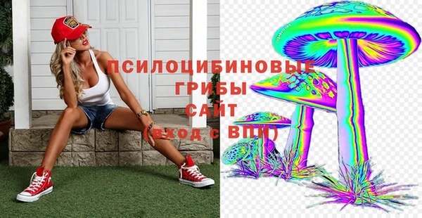 хмурый Арсеньев