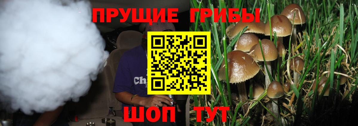 Псилоцибиновые грибы GOLDEN TEACHER Куйбышев