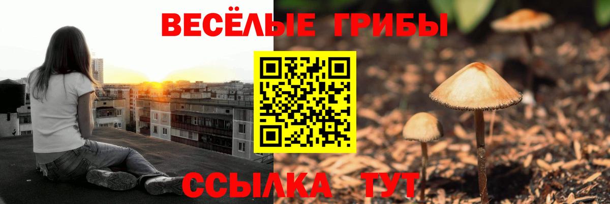 Куйбышев  Галлюциногенные грибы Magic Shrooms  Вход с VPN 
